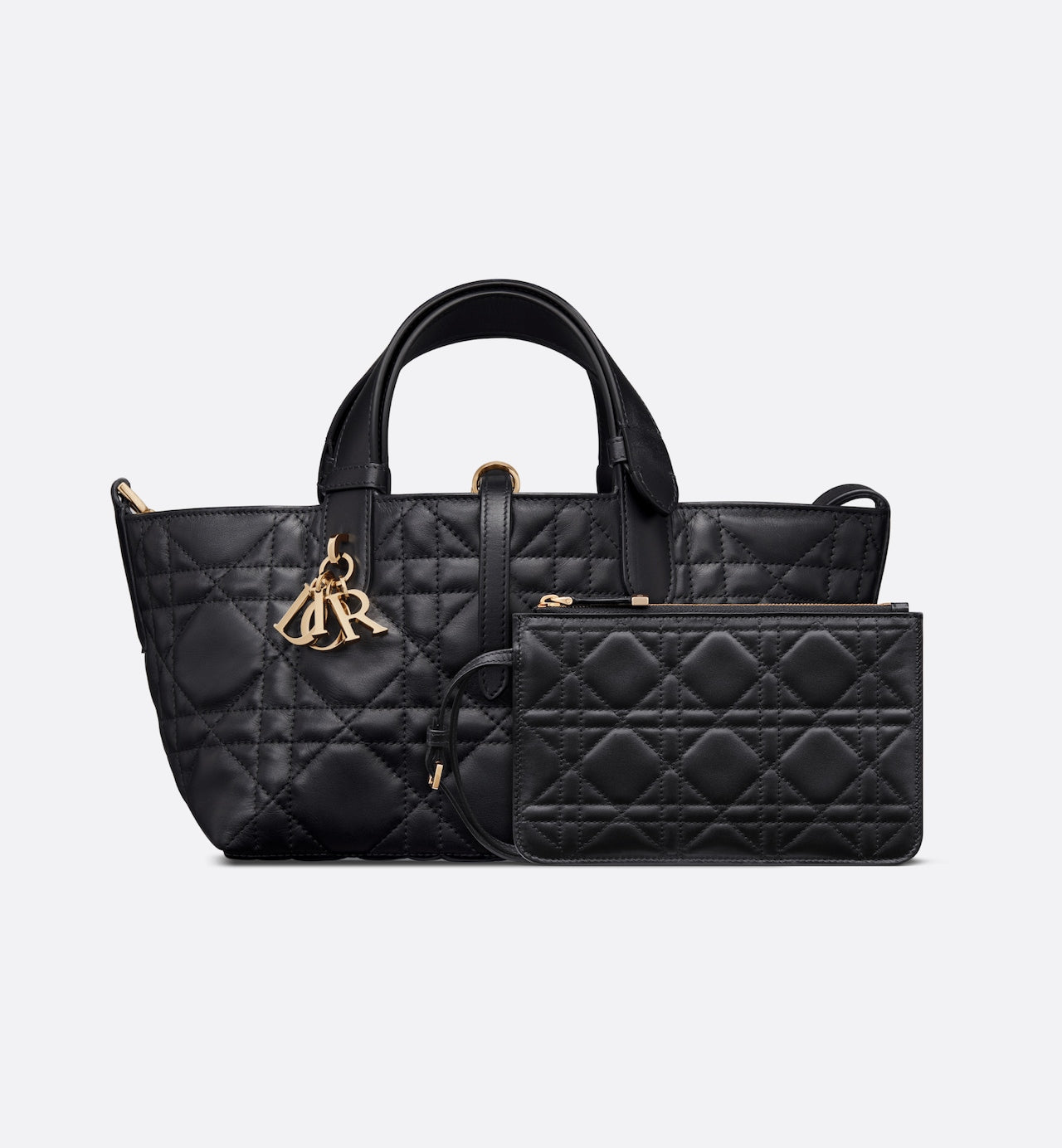 Small Dior Toujours Bag