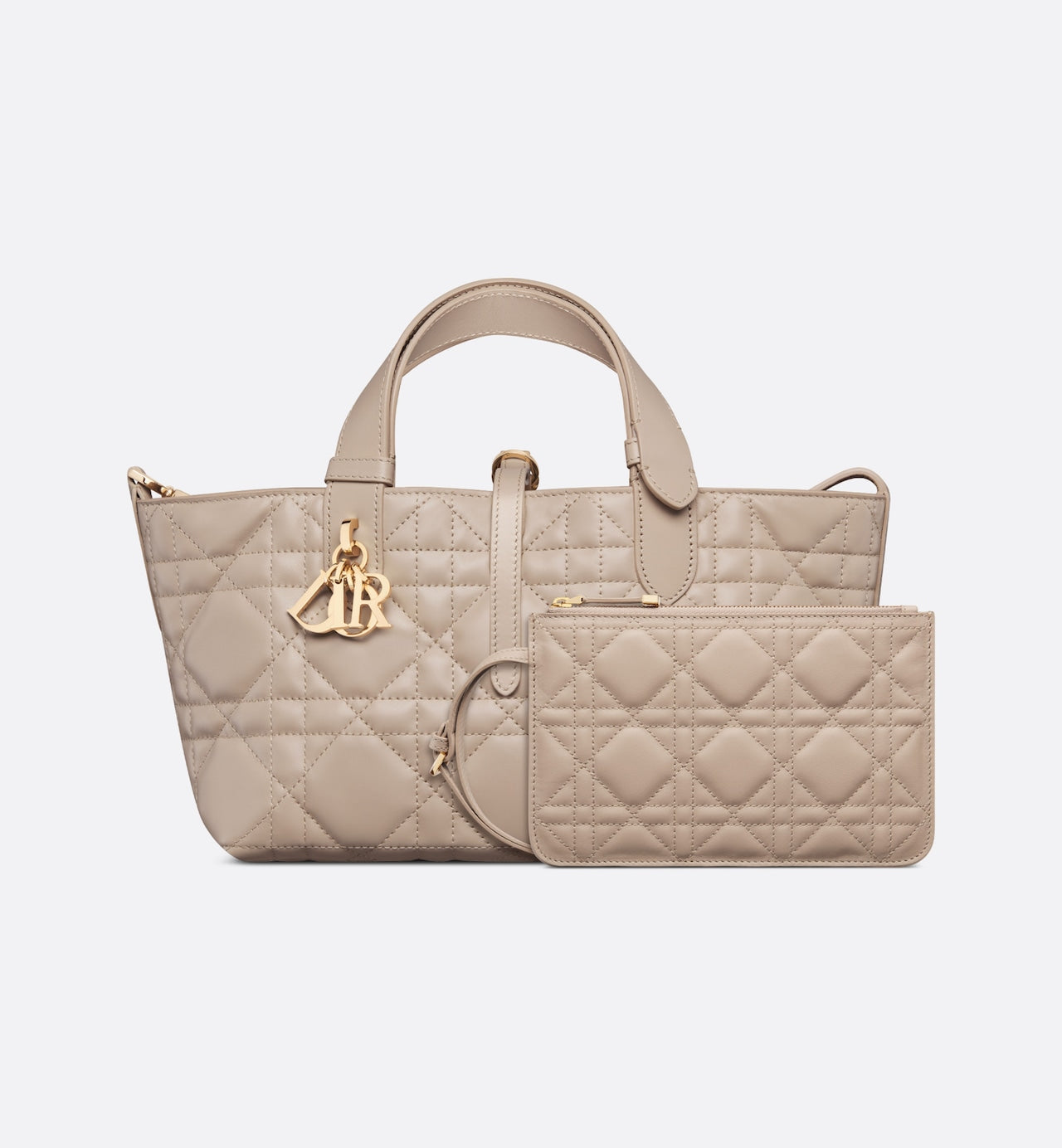 Small Dior Toujours Bag